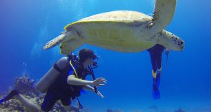 scuba driving